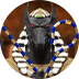 Anubis Wild Megaways