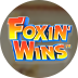 Foxin’ Twins
